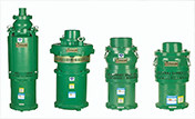 潜水泵 WQ-110-10 5.5KW Y180