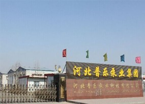普乐水泵，做水泵行业的专家
