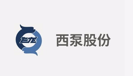 企业互联网化 西泵股份选择了友空间